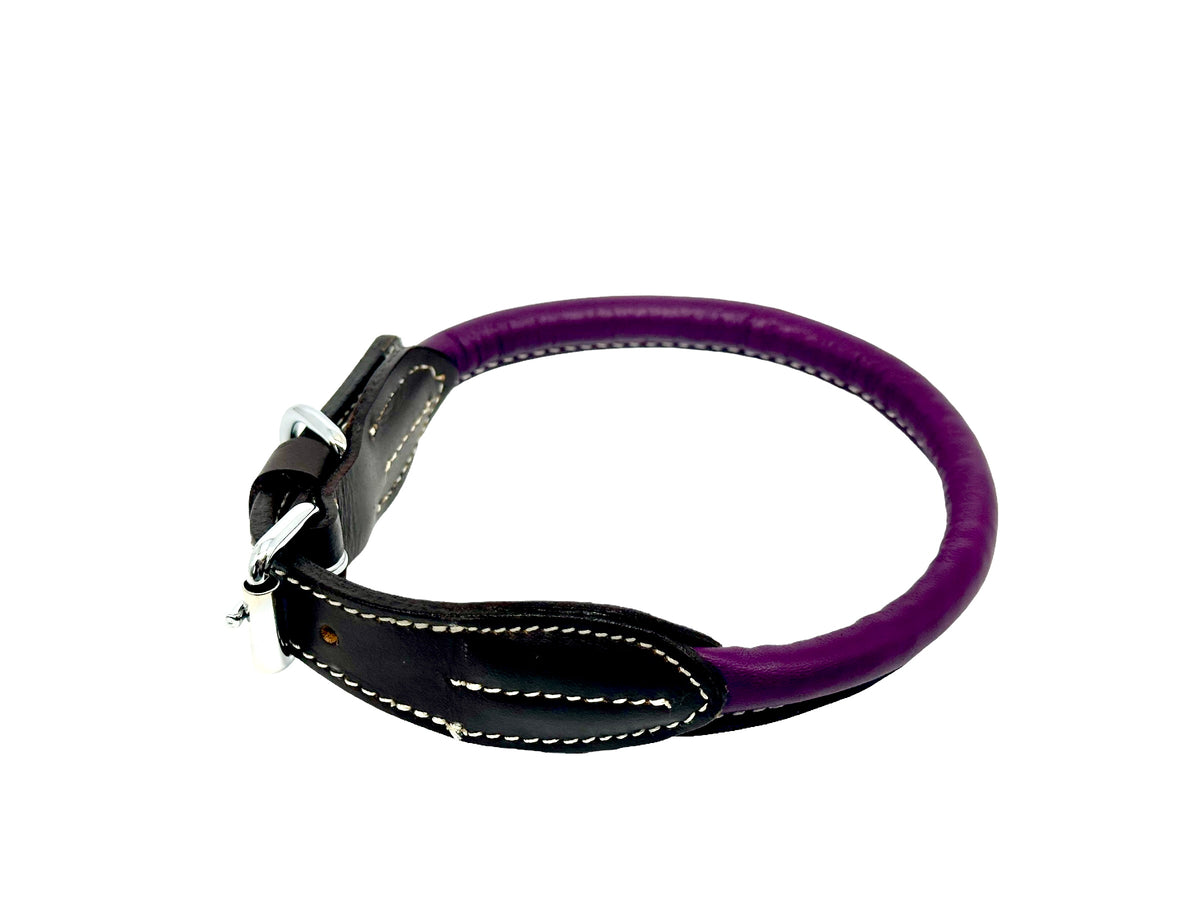 leather dog collar