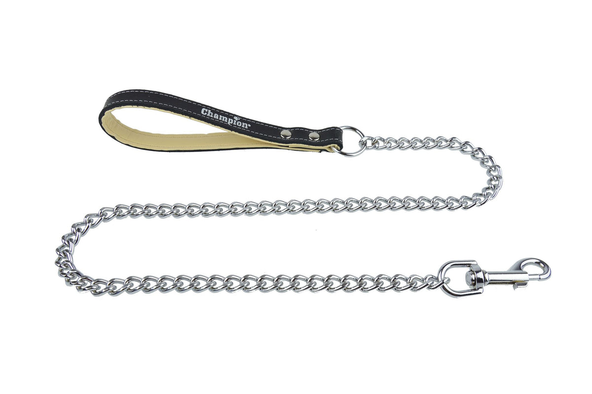 metal dog lead