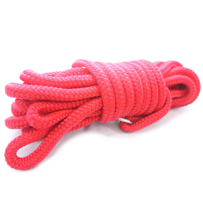 nylon dog lead