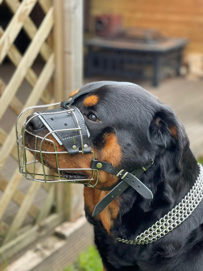 metal dog muzzle