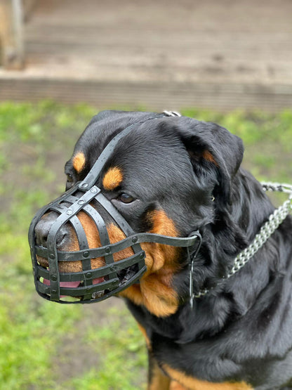 leather dog muzzle