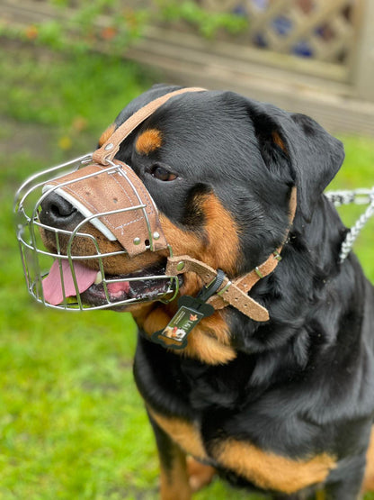 metal dog muzzle