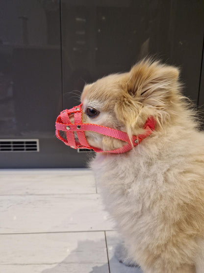 nylon dog muzzle