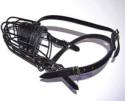 metal dog muzzle