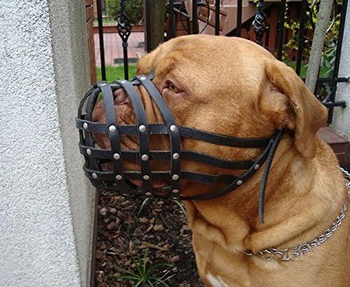 biothane dog muzzle