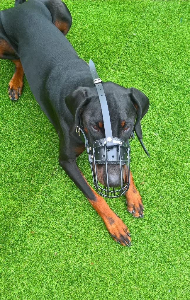 metal dog muzzle