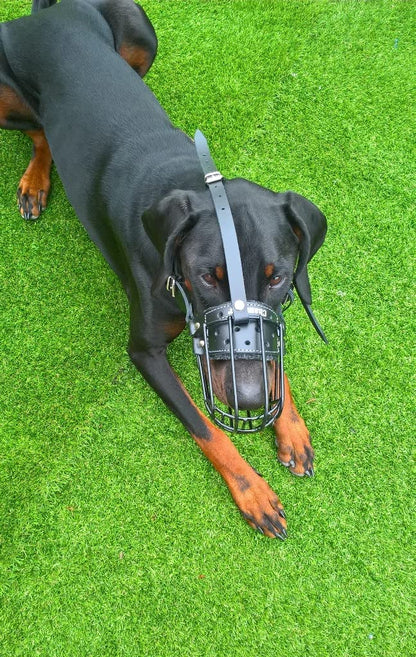 metal dog muzzle