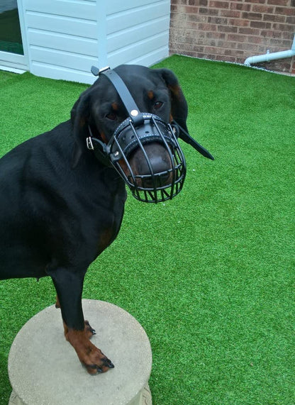metal dog muzzle