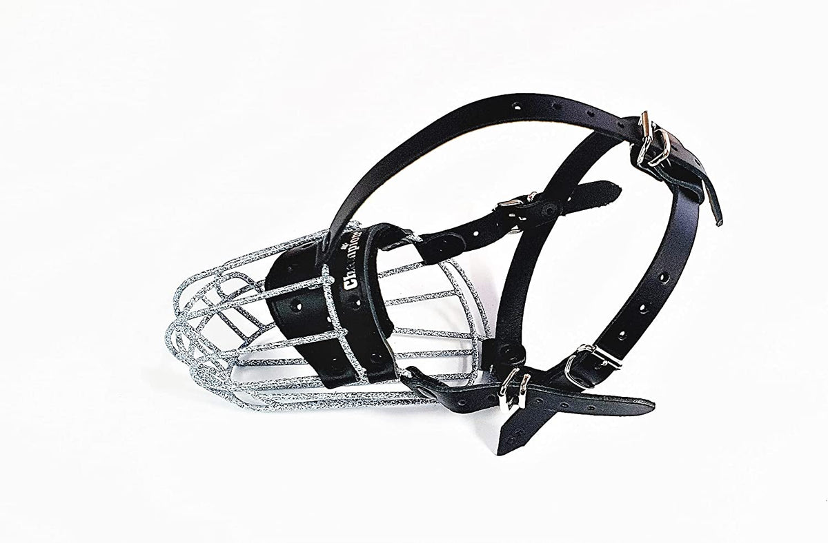 metal dog muzzle
