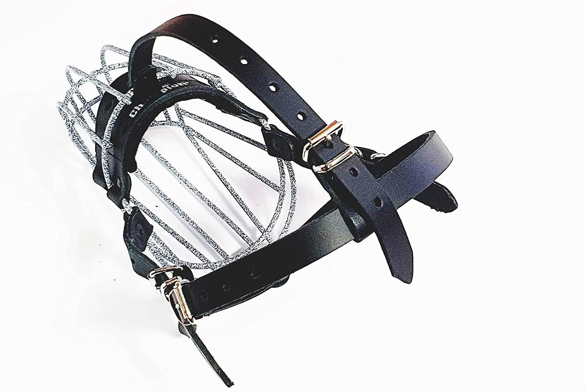 metal dog muzzle