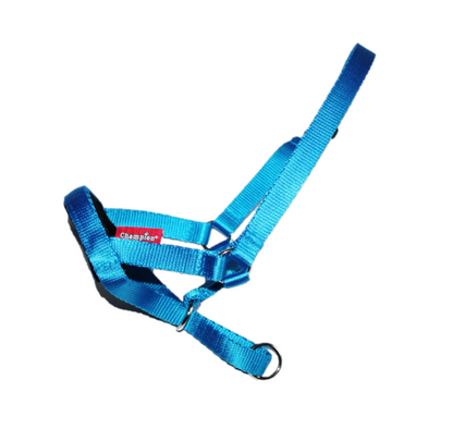 all in one head collar