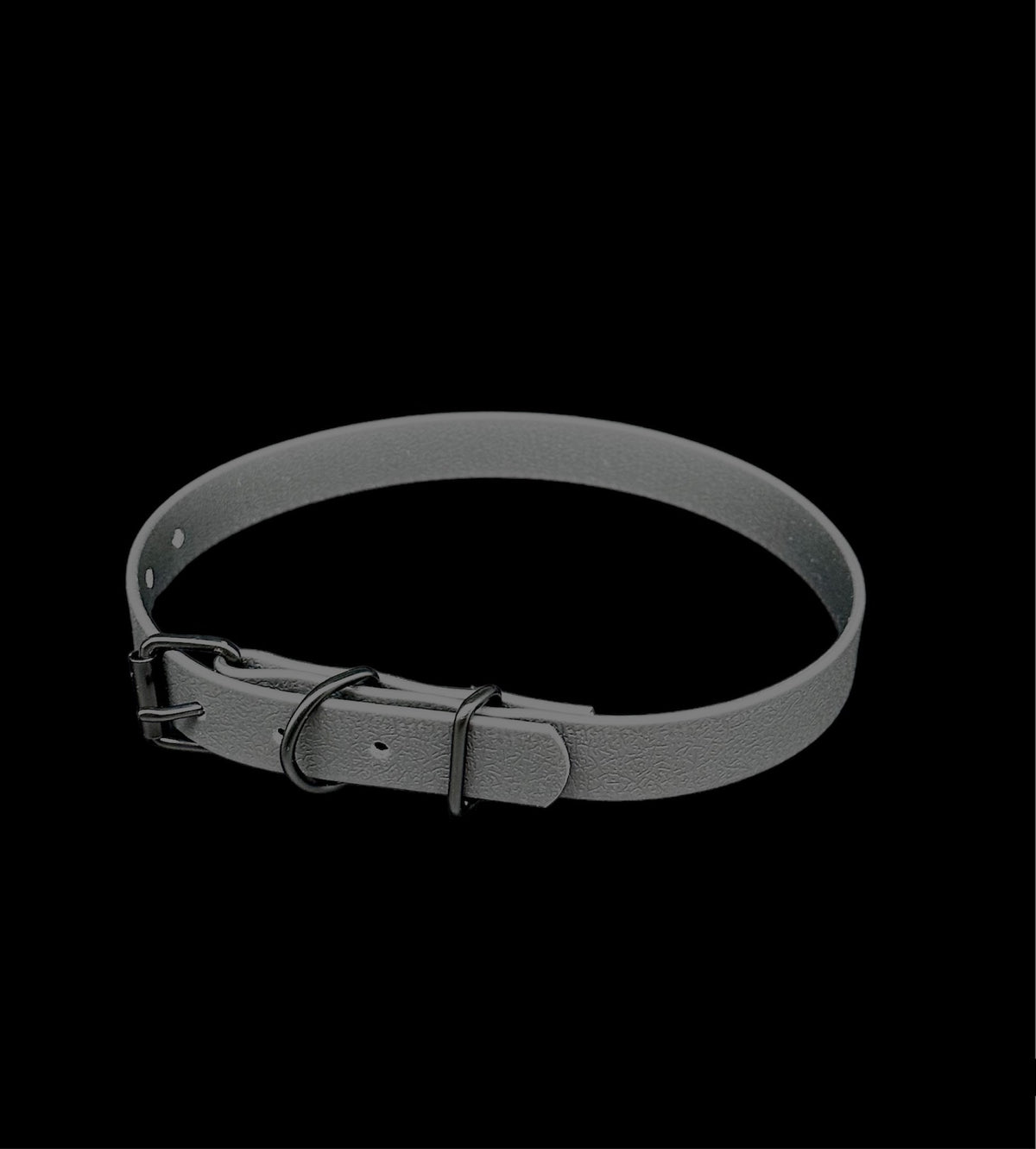 biothane dog collar