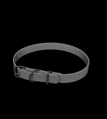 biothane dog collar