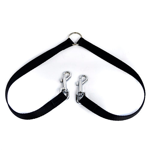 nylon dog lead