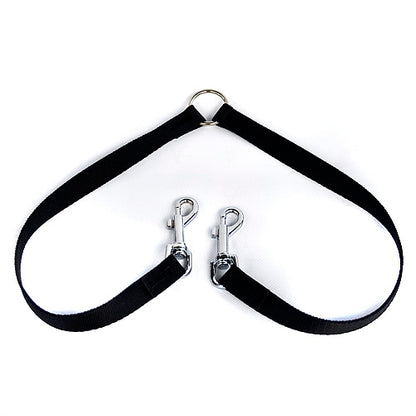 nylon dog lead