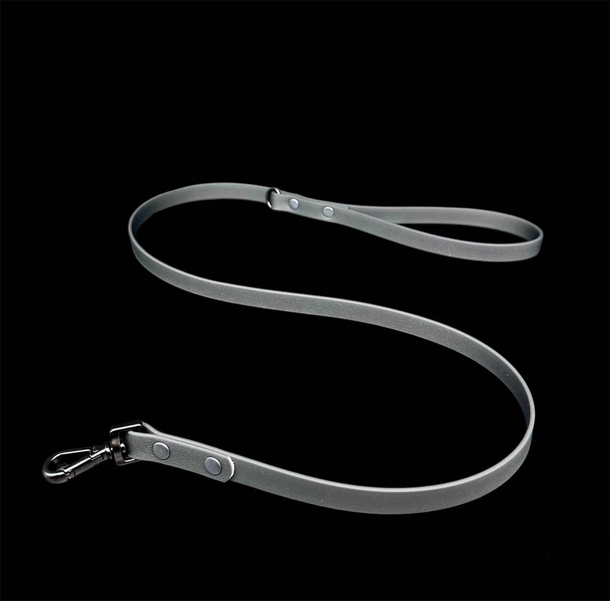biothane dog lead