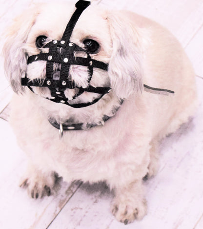 nylon dog muzzle