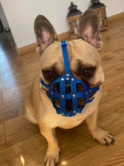 nylon dog muzzle