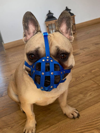 nylon dog muzzle