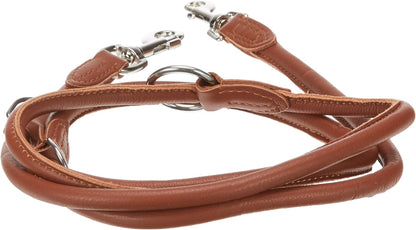 leather dog lead