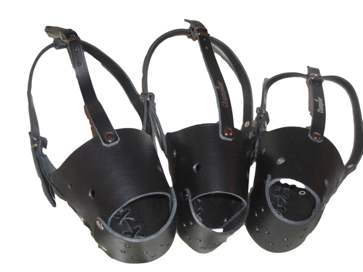 leather dog muzzle