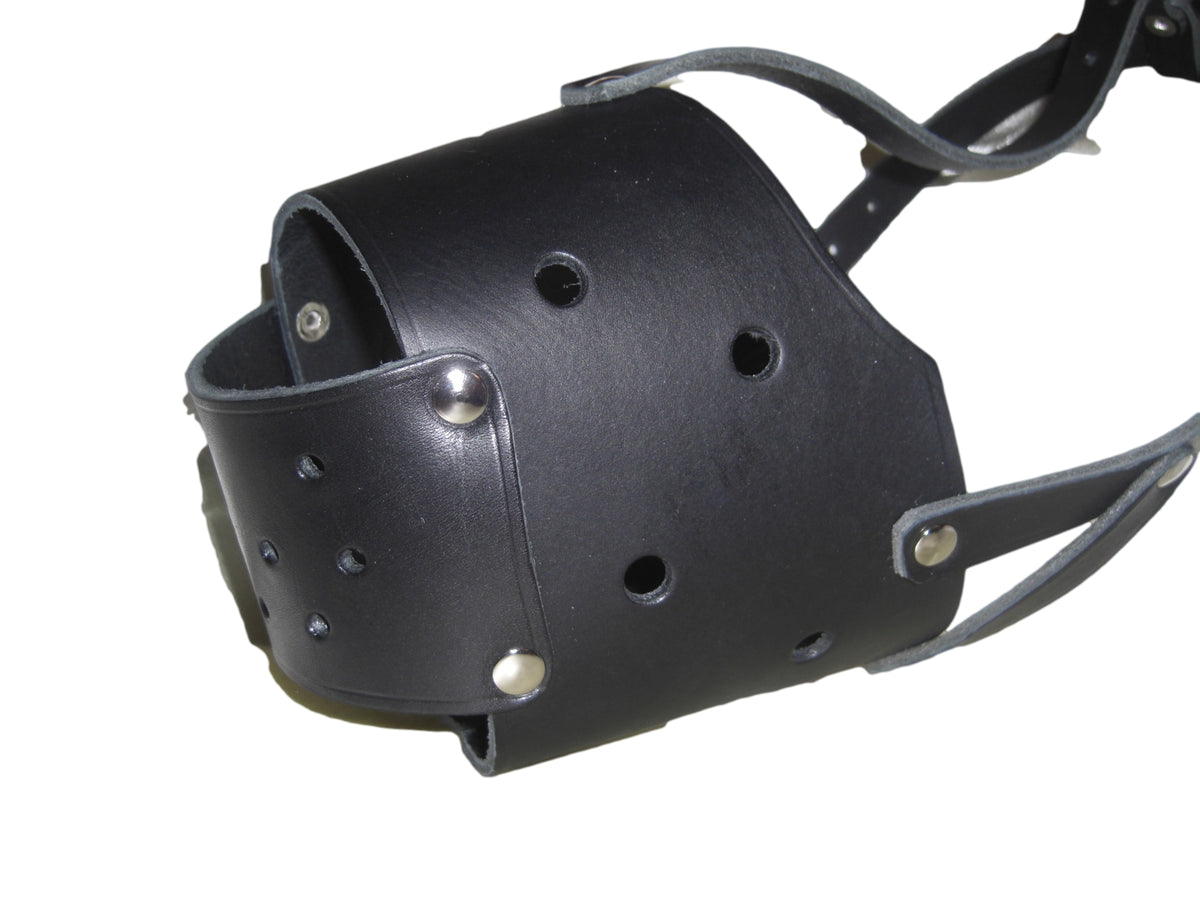leather dog muzzle