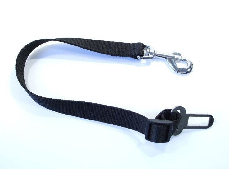 dog car lead