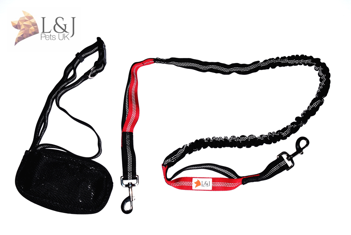 bungee dog lead