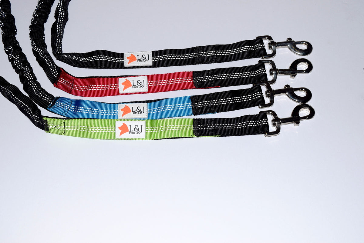 bungee dog lead