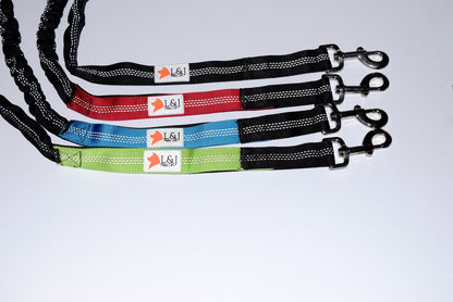 bungee dog lead
