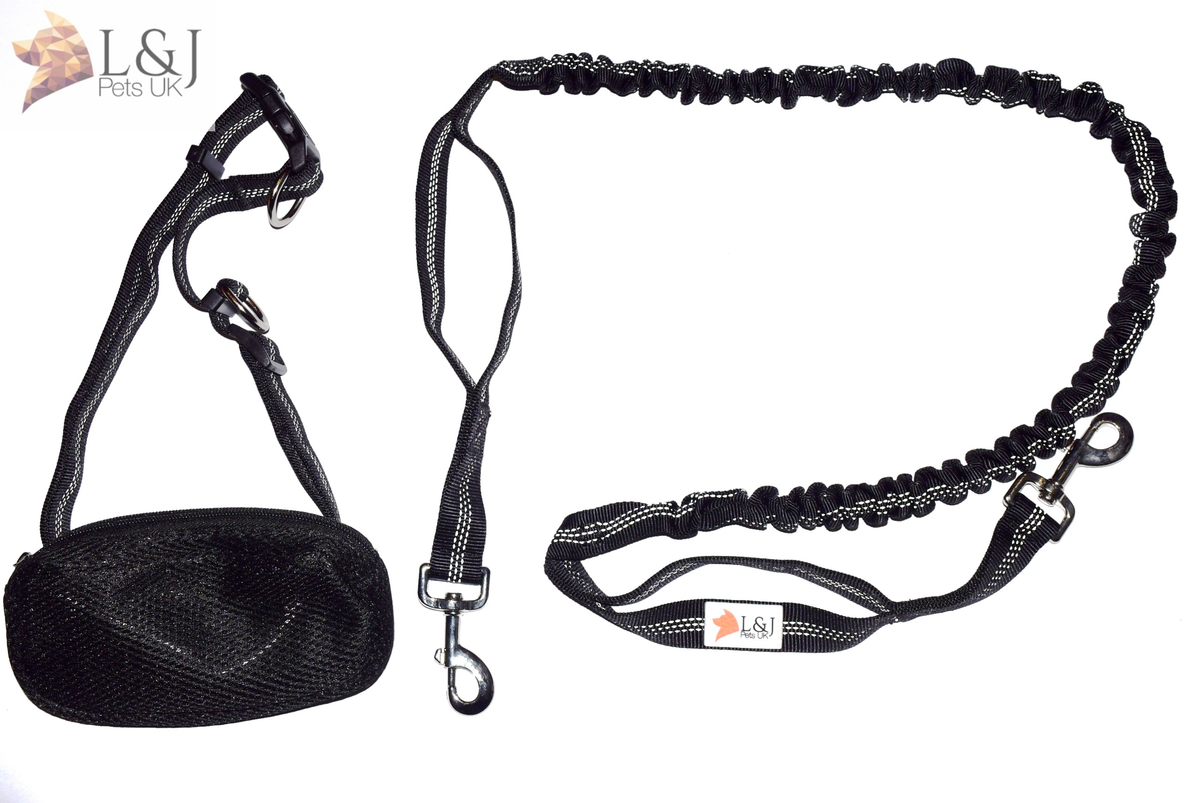 bungee dog lead