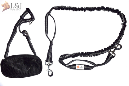 bungee dog lead