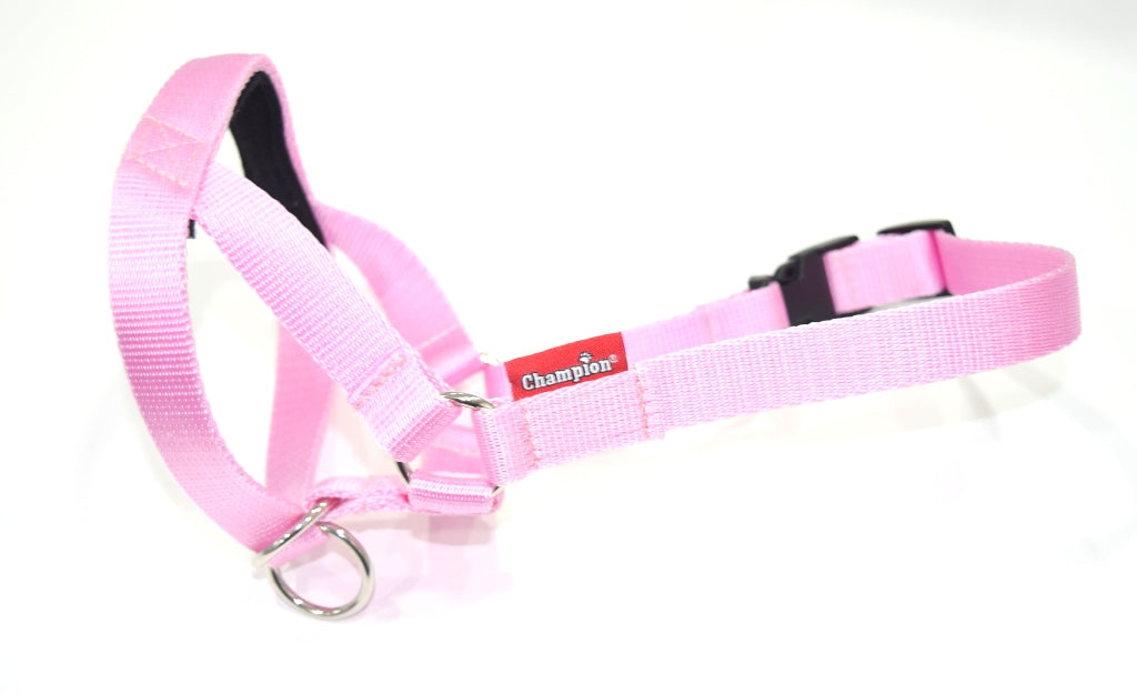 all in one head collar