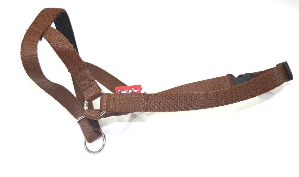 all in one head collar