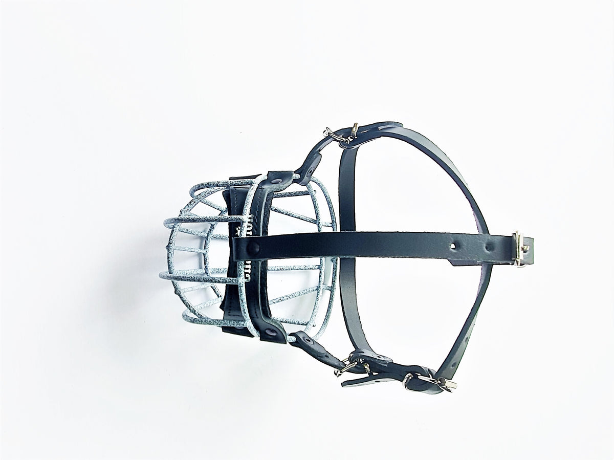 metal dog muzzle