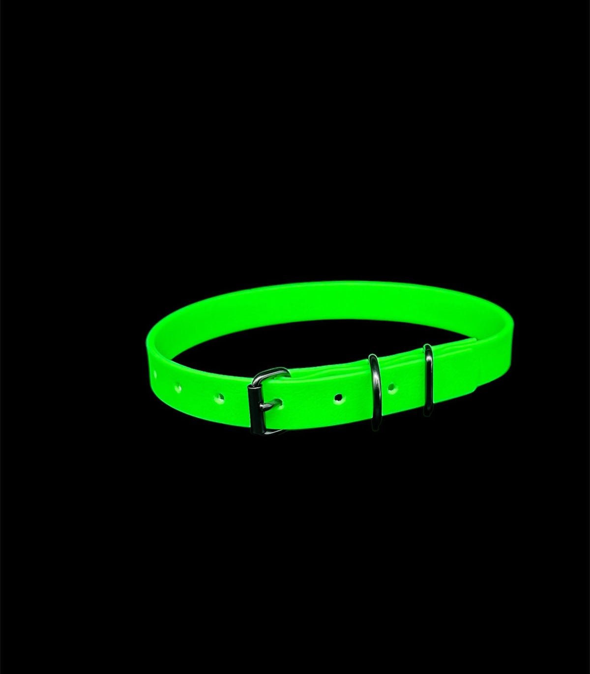 biothane dog collar