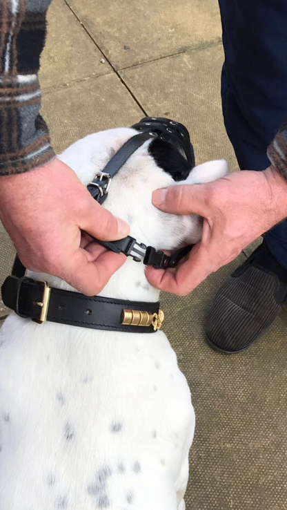 leather dog muzzle