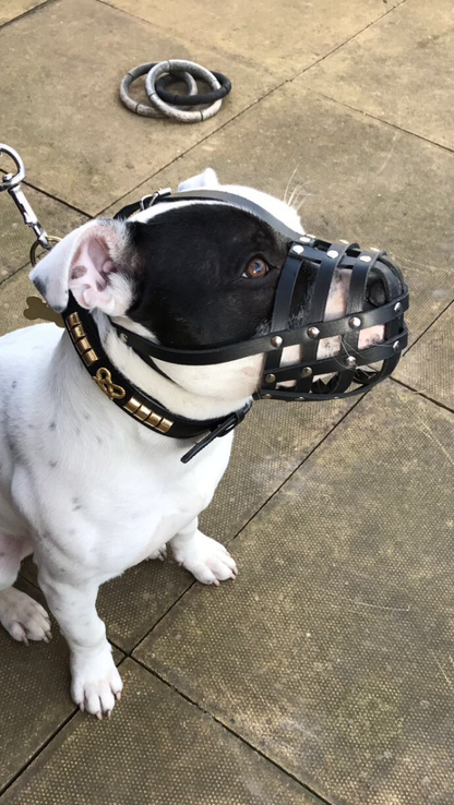leather dog muzzle