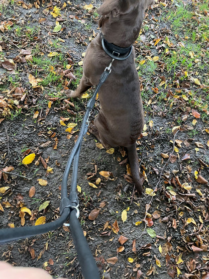 leather dog lead