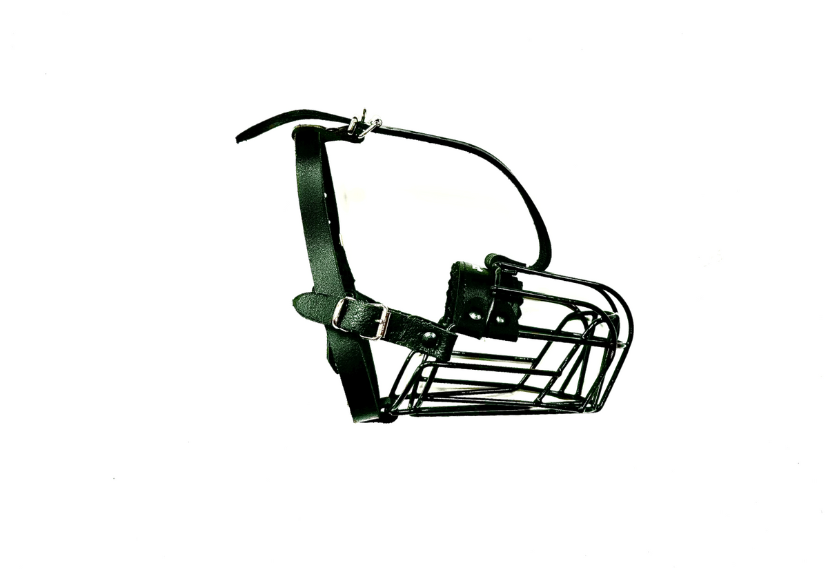 metal dog muzzle