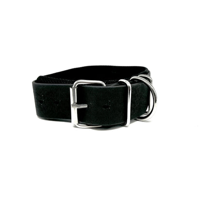 waterproof dog collar