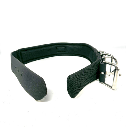 waterproof dog collar
