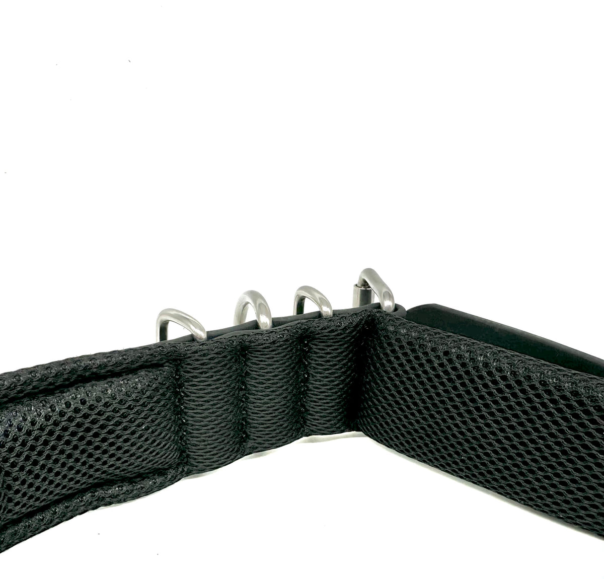 waterproof dog collar
