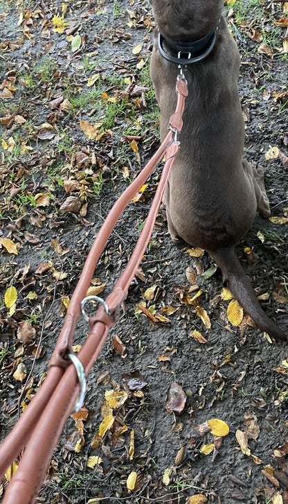 leather dog lead