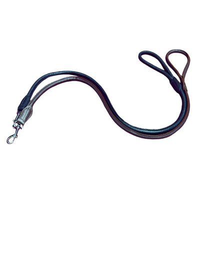 leather dog lead