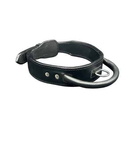 leather dog collar