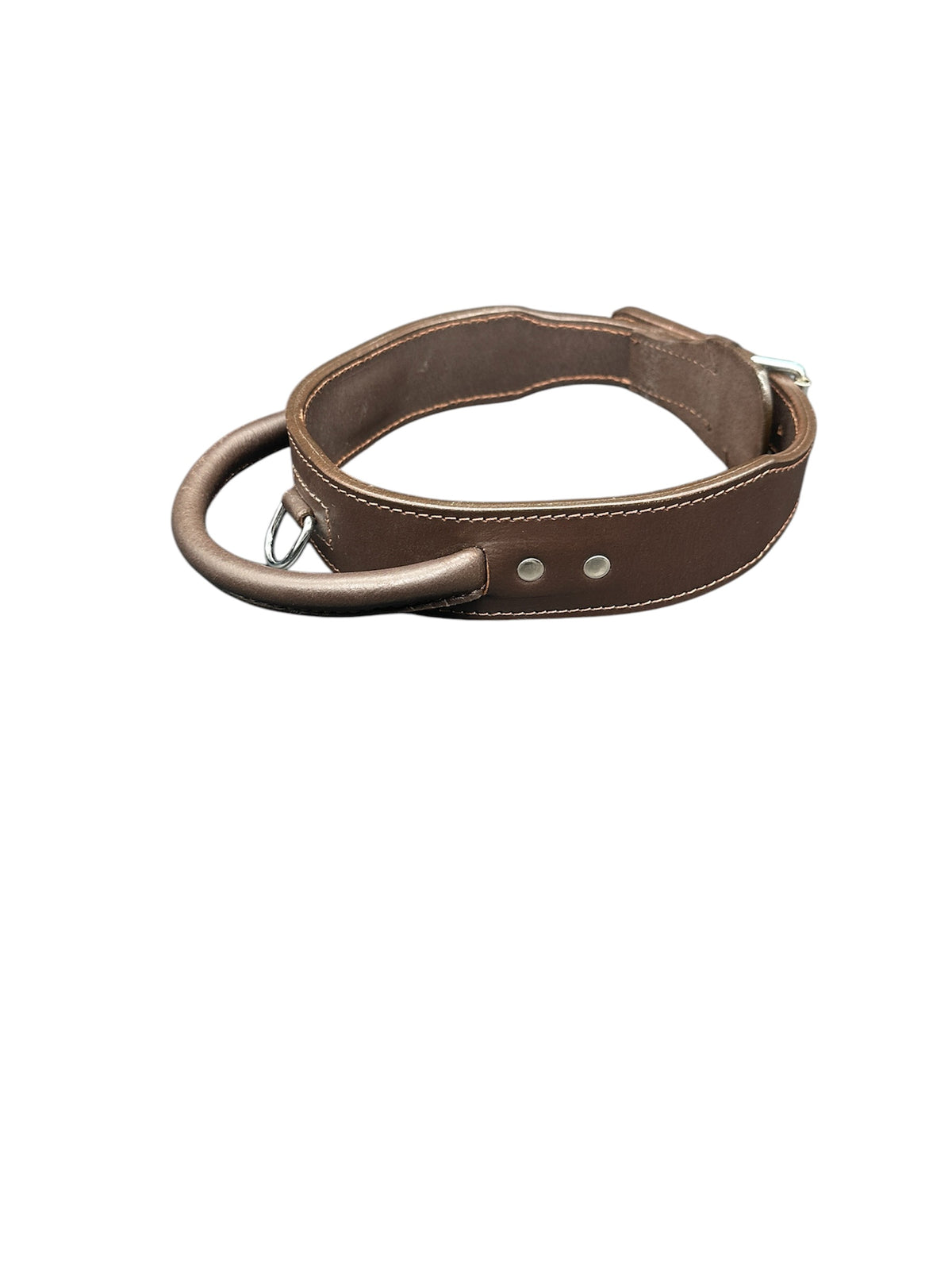 leather dog collar