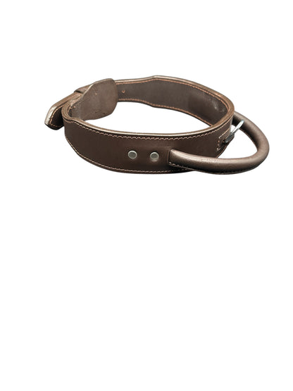 leather dog collar
