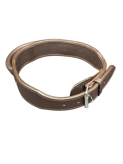 leather dog collar