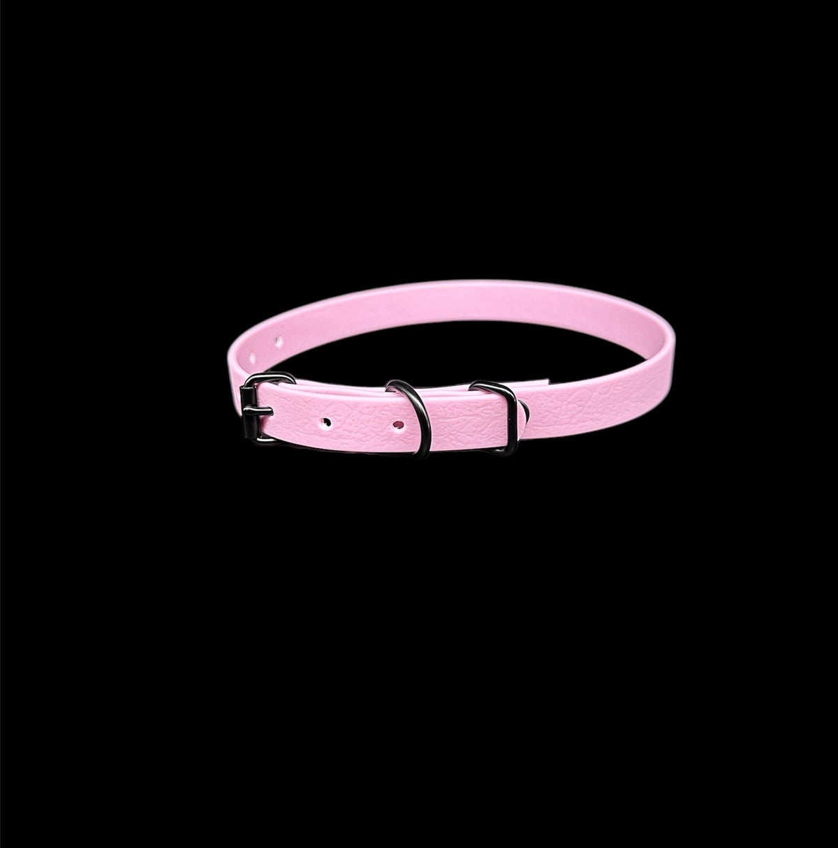 biothane dog collar